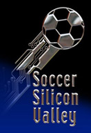 SSV Logo